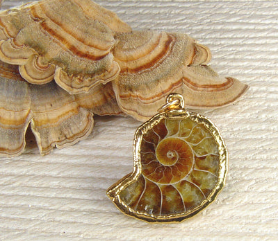 Ammonite Jewelry