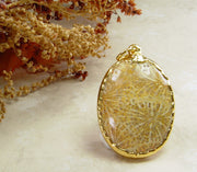 Fossil Coral Pendants