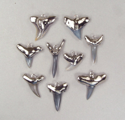 Quantity Discount: Fossil Shark Tooth Pendants with Hypoallergenic Nickel