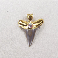 Fossil Shark Tooth Pendant with Accent Stone