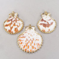 Limited Time Special: Scalloped Shell Pendants with Tri-Leaf Design