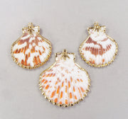 Limited Time Special: Scalloped Shell Pendants with Tri-Leaf Design