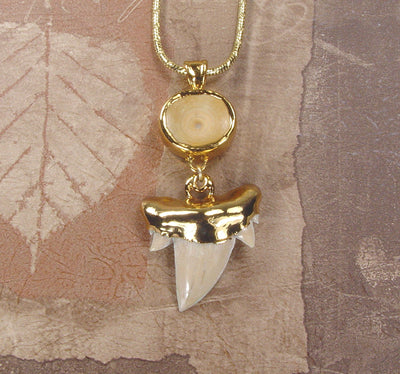 Fossil Shark Tooth Necklace with Vertebra Connector | 18k Electroformed Gold, Gold-Filled Chain