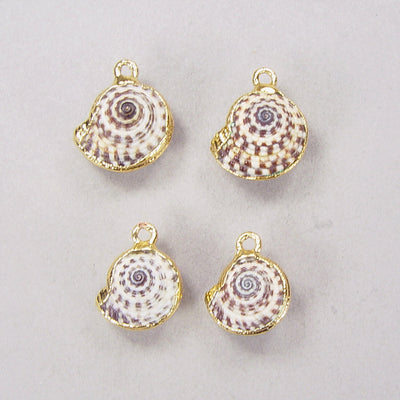 Limited Time Special: Heliacus Shell Drops (Earring Pairs)