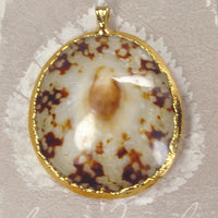 Polished Limpet Shell Pendant