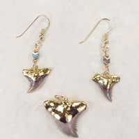 Fossil Shark Tooth Pendant and Earrings Set