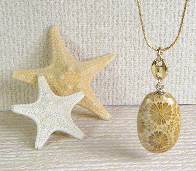 Fossil Coral Jewelry