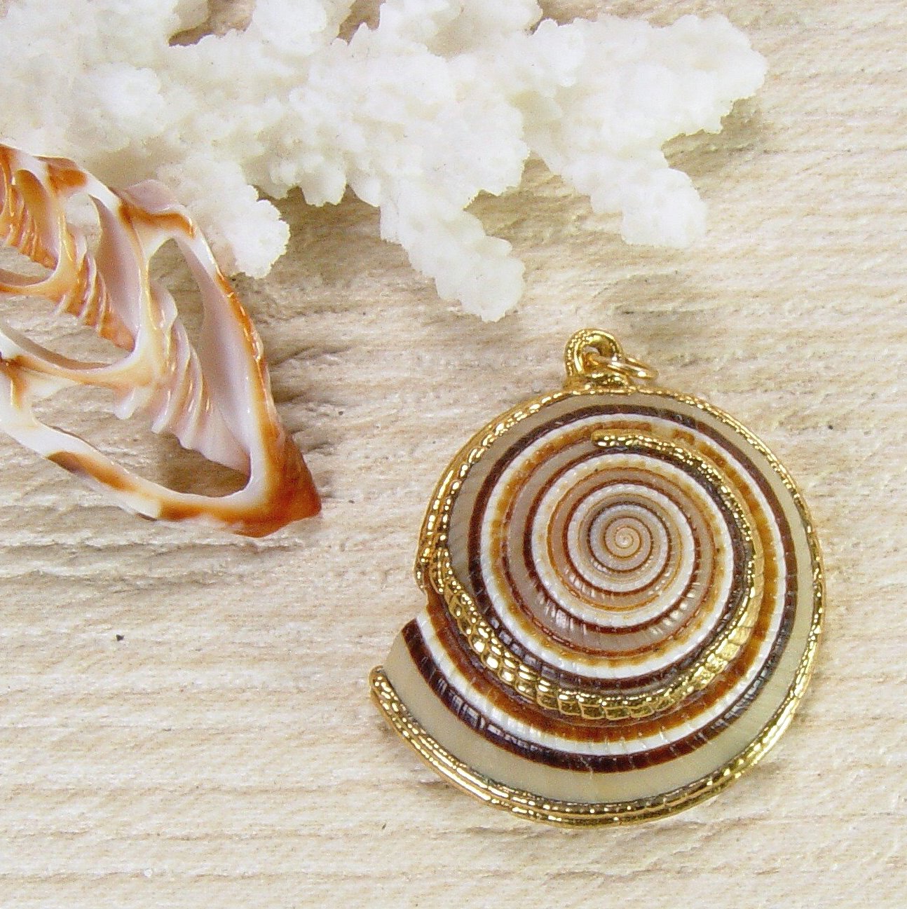 Sundial Shell Pendant with Electroformed 18kt Gold