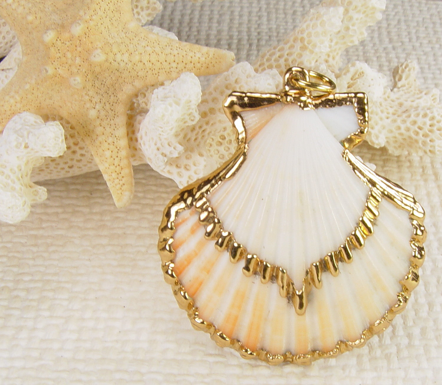 Scallop Seashell Pendant with Electroformed 18kt Gold