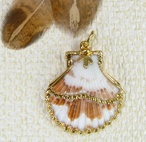 Scallop Pendant