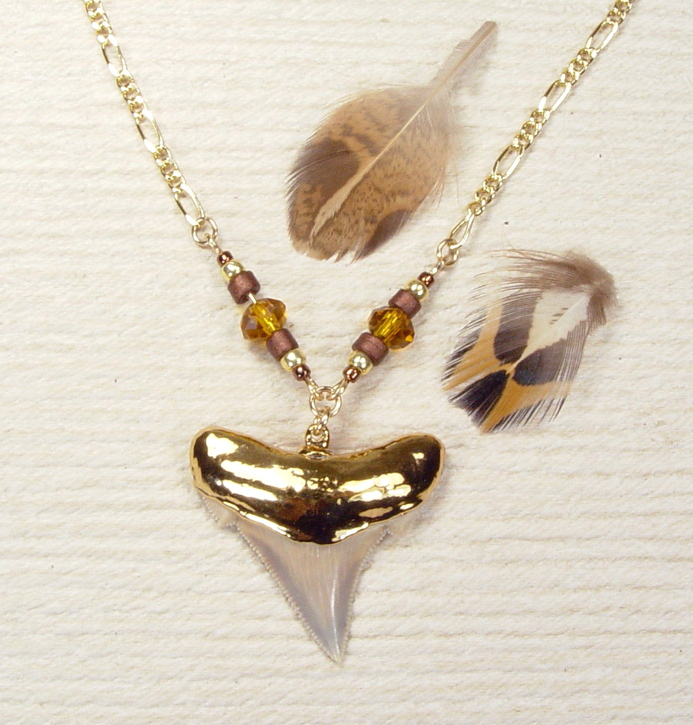 Fossil Shark Tooth Necklace