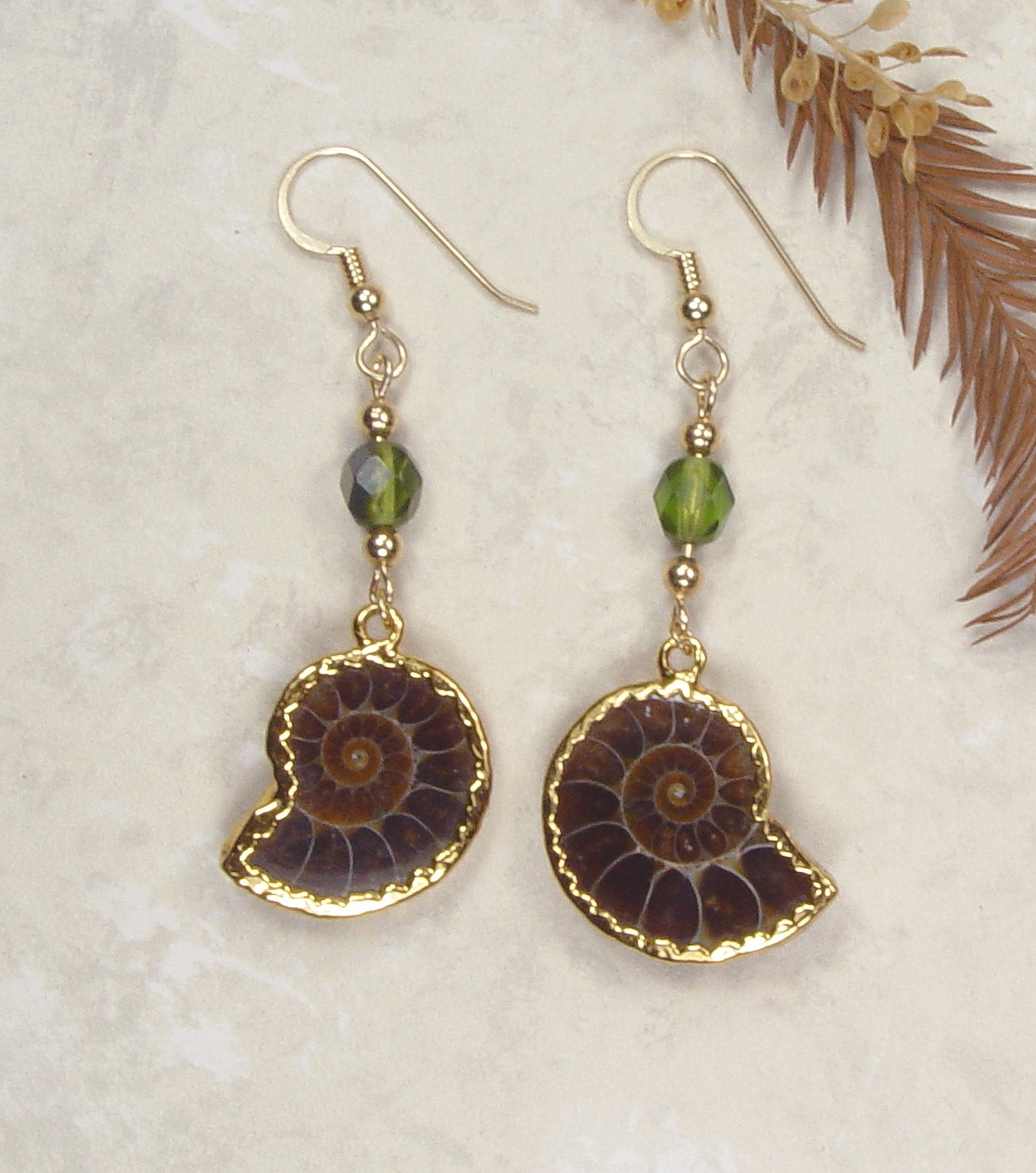 Fossil Ammonite Earrings