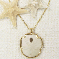Fossil Sand Dollar Necklace