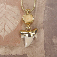 Fossil Shark Tooth Necklace with Vertebra Connector | 18k Electroformed Gold, Gold-Filled Chain