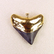 Megalodon Shark Tooth Pendant