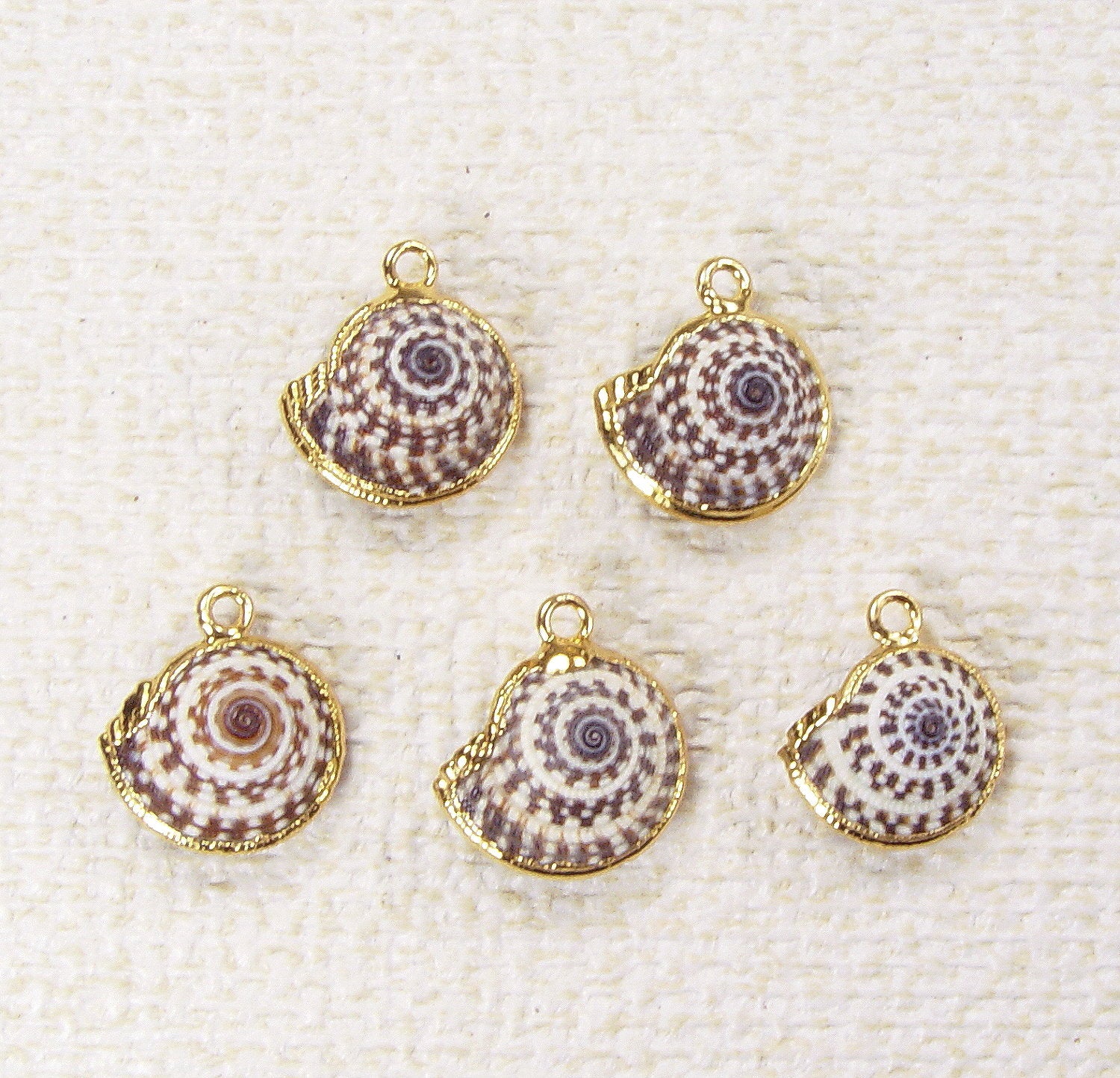 Quantity Discounts: Heliacus Shell Drops