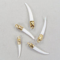 Quantity Discounts: Tusk Shells with 18kt Electroformed Gold Caps