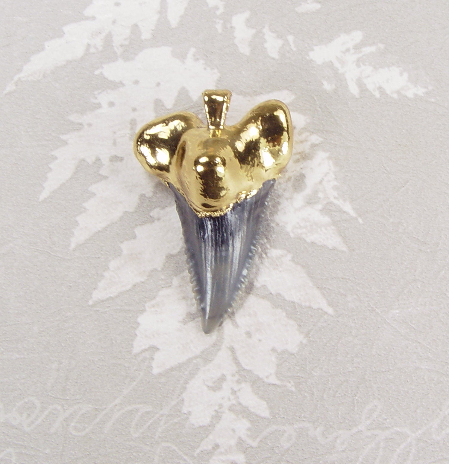 Fossil Shark Tooth Pendant