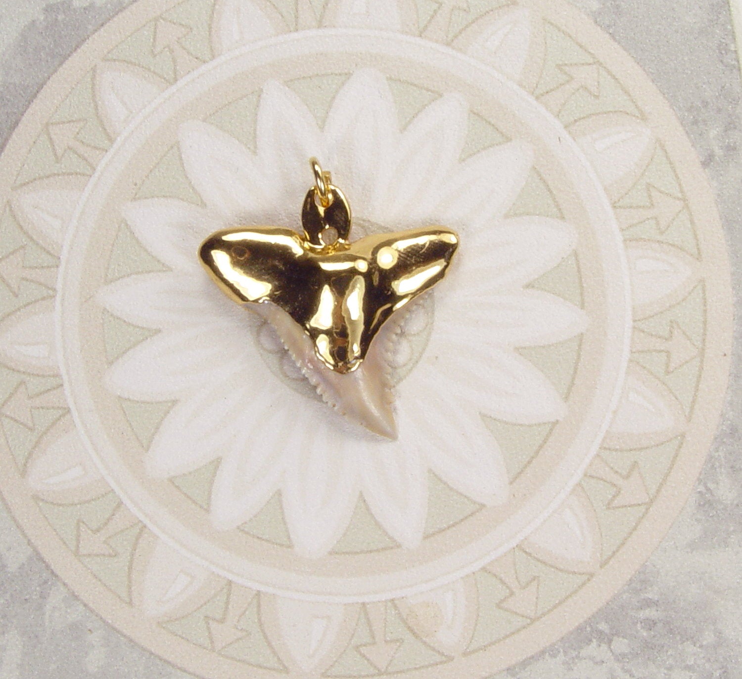 Shark Tooth Pendant /Shark Tooth Jewelry