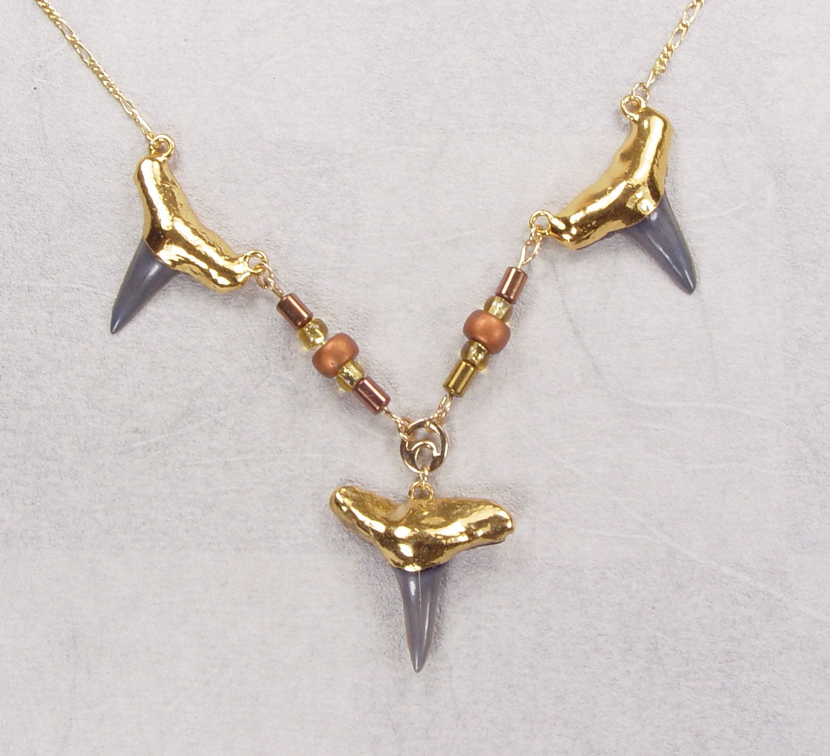 Fossil Shark Tooth Necklace