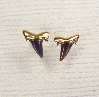 Shark Teeth Stud Earrings with 18k Electroformed Gold