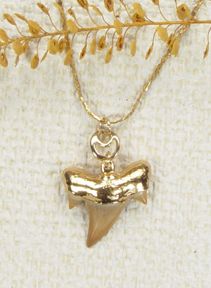 Fossil Shark Tooth Pendant on a Gold-Filled Chain/Shark Tooth Jewelry