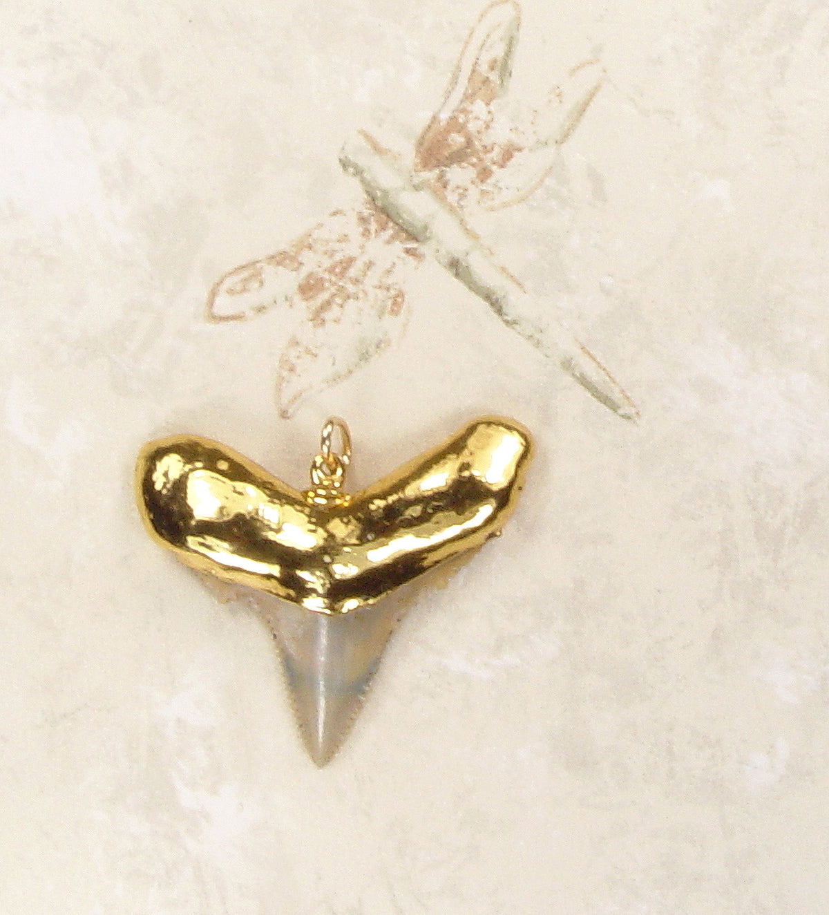 Fossil Serrated Shark Tooth Pendant