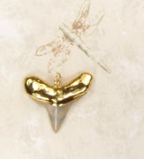 Fossil Serrated Shark Tooth Pendant/ Shark Tooth Jewelry