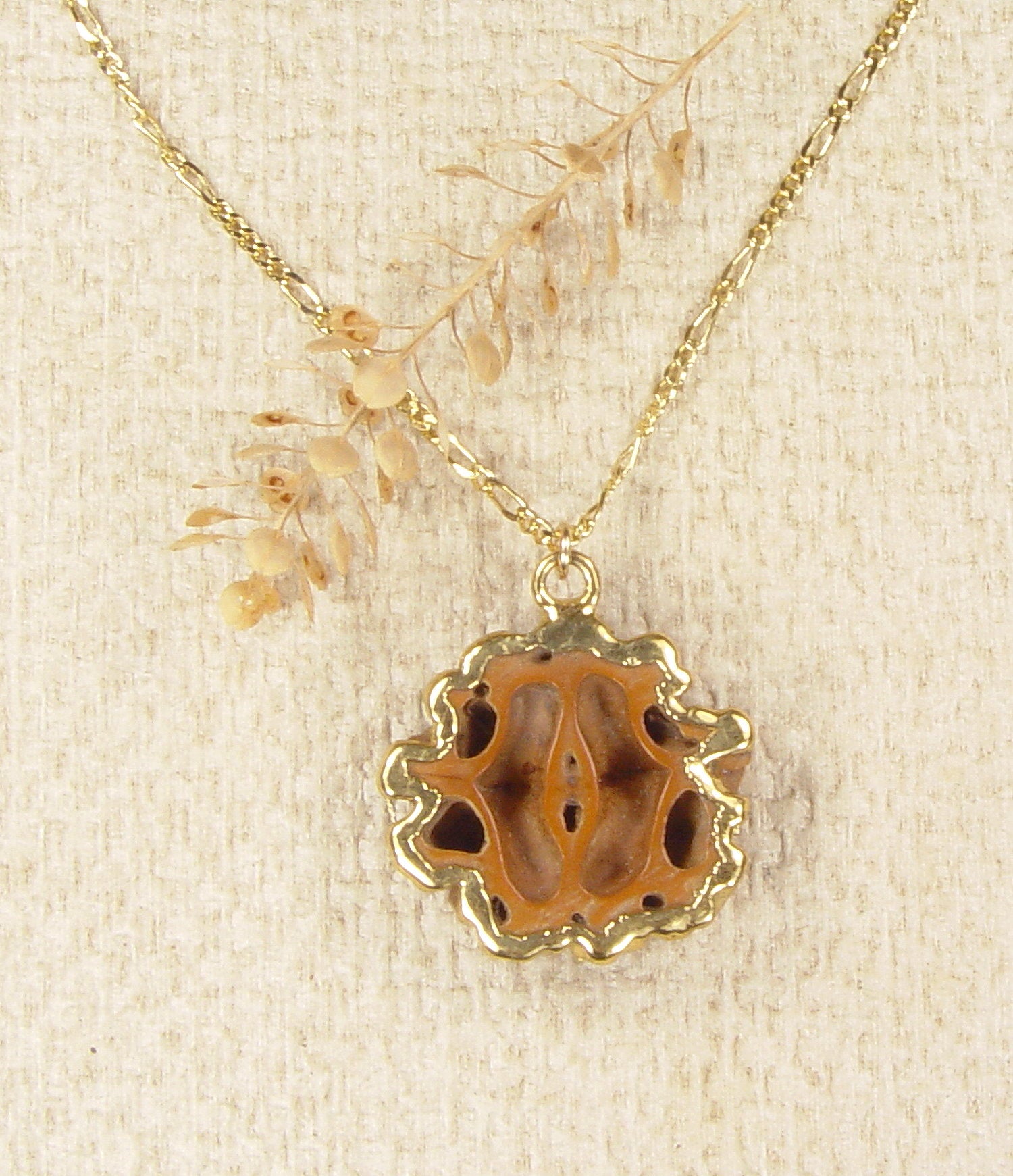 Polished Japanese Walnut Slice Necklace with 18k Electroformed Gold & Gold-Filled Chain