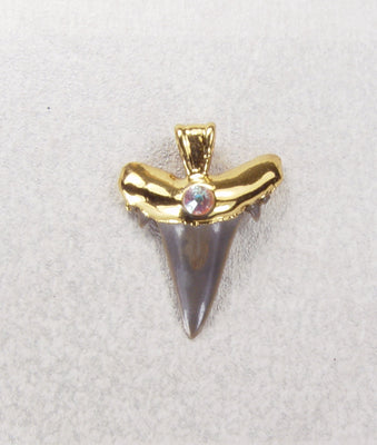 Fossil Shark Tooth Pendant with Accent Stone