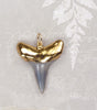 Shark Tooth Pendant/Shark Tooth Jewelry