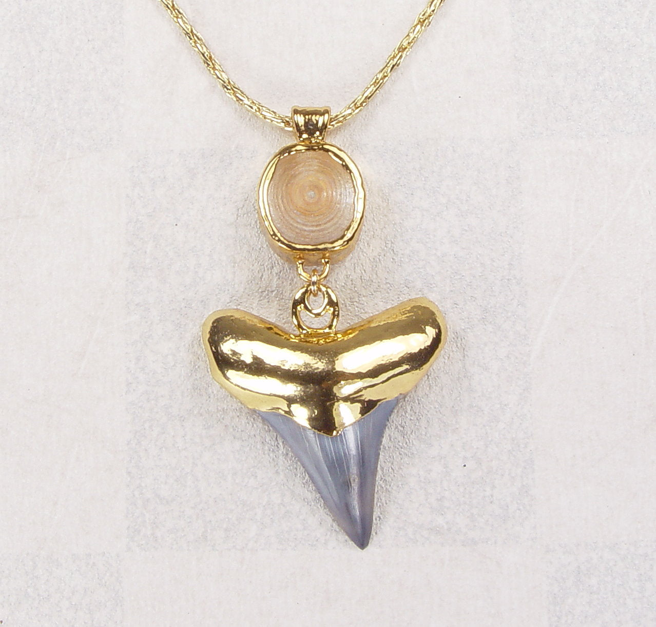 Fossil Shark Tooth & Vertebra Necklace with Gold-Filled Chain & Electroformed 18kt Gold