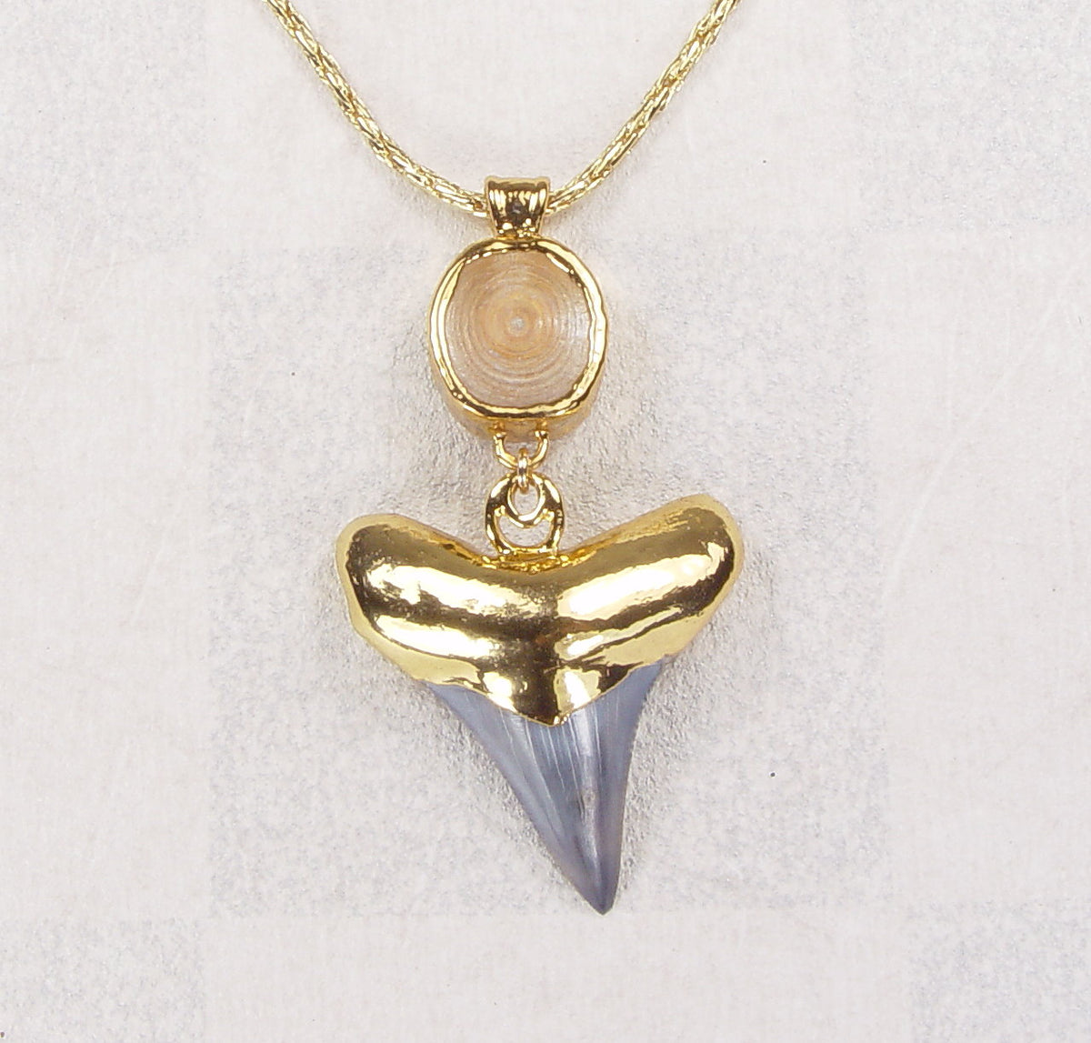 Fossil Shark Tooth & Vertebra Necklace with Gold-Filled Chain & Electroformed 18kt Gold