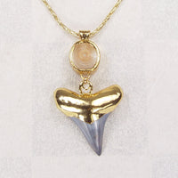 Fossil Shark Tooth & Vertebra Necklace with 18k Electroformed Gold on Gold-Filled Chain