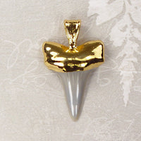 Fossil Mako Shark Tooth Pendant with 18k Electroformed Gold
