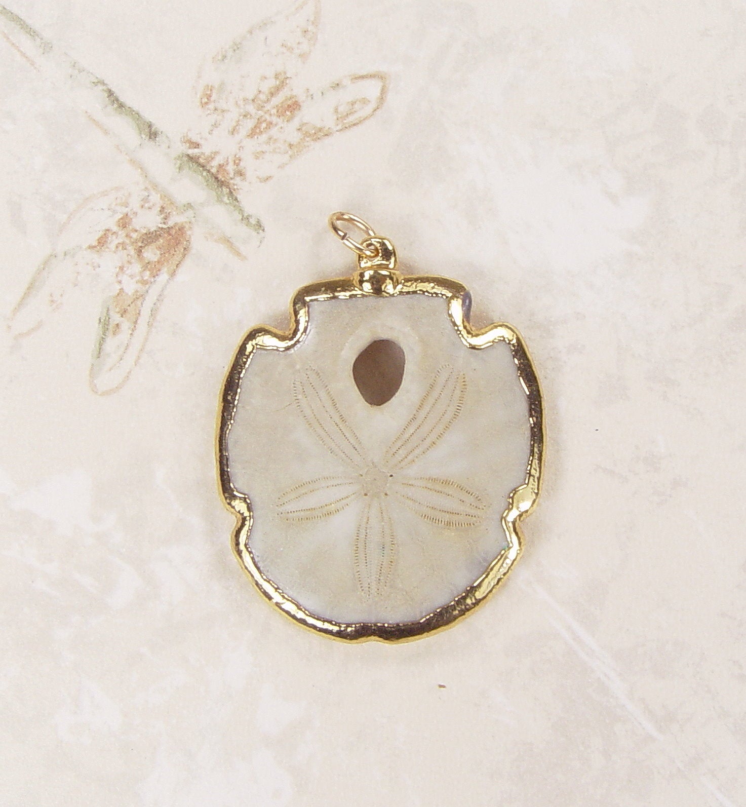 Fossil Sand Dollar Pendant with Electroformed 18kt Gold