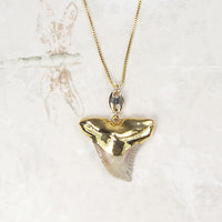 Fossil Shark Tooth Necklace with Gold Accent & 18k Electroformed Gold on Gold-Filled Chain