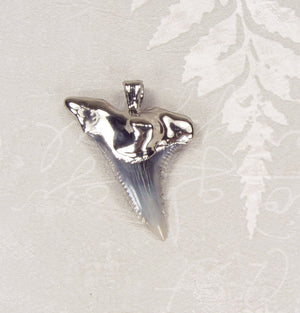 Nickel Fossil Snaggle-Tooth Shark Tooth Pendant