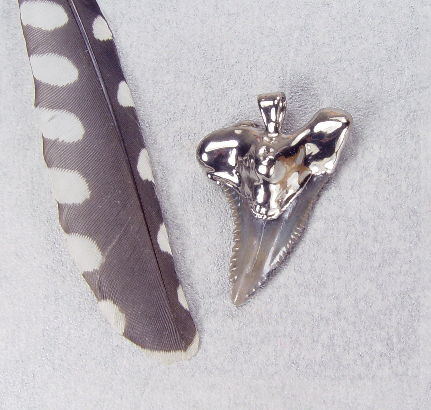Nickel Fossil Snaggle-Tooth Shark Tooth Pendant