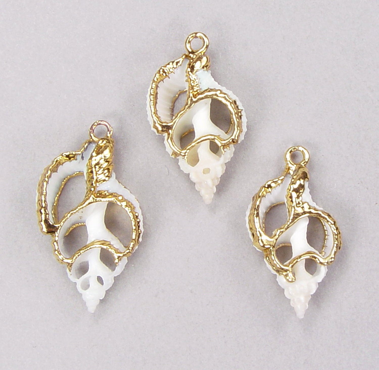 Limited-Time Specials: Small Sliced Seashell Drops with 18k Electroformed Gold
