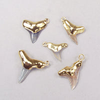 Quantity Discount: Corner Ring Fossil Shark Tooth Pendants with 18k Electroformed Gold