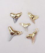 Quantity Discount: Corner Ring Fossil Shark Tooth Pendants with 18k Electroformed Gold