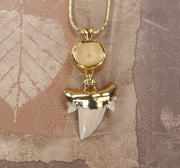 Fossil Shark Tooth Necklace with Vertebra Connector | 18k Electroformed Gold, Gold-Filled Chain