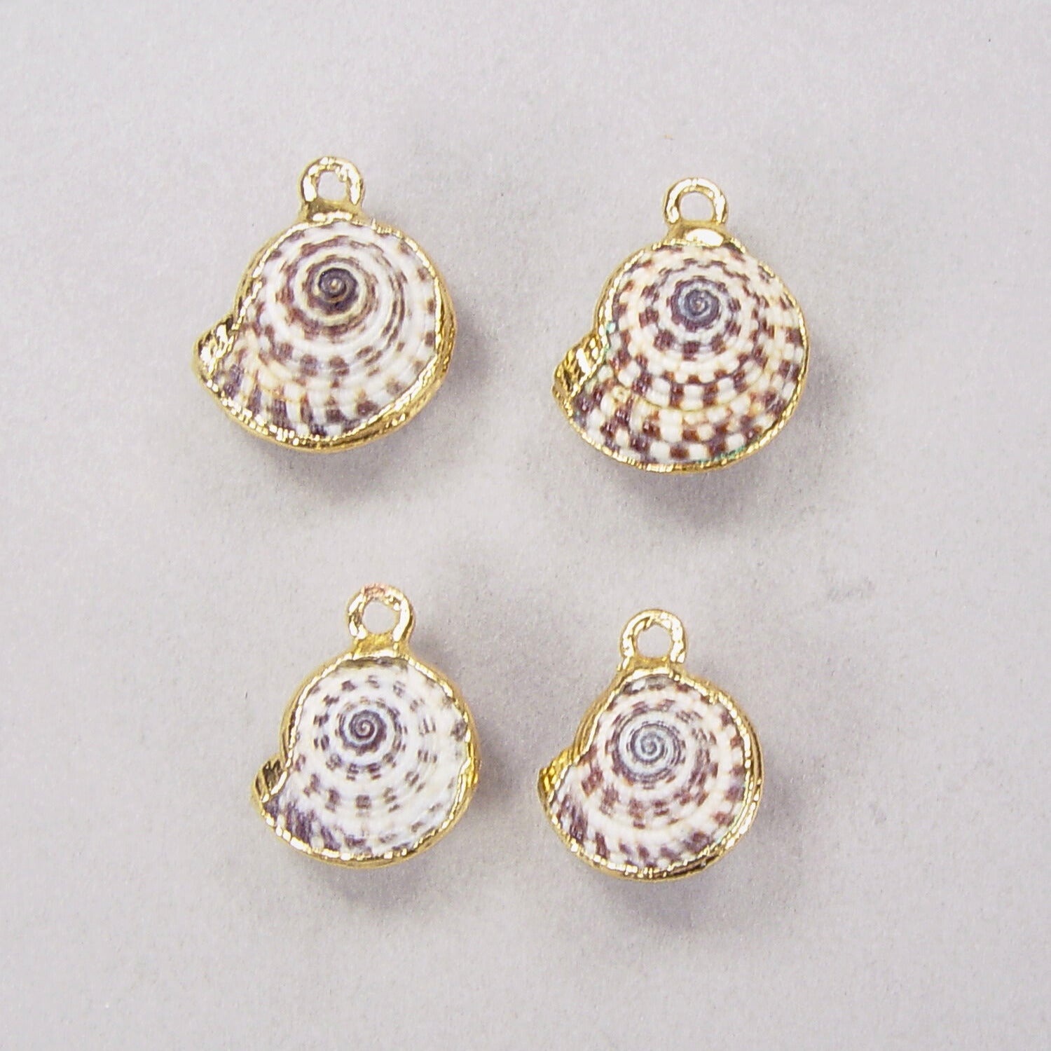 Limited-Time Special: Heliacus Seashell Drops (Earring Pairs)