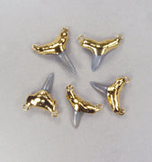 Quantity Discount: Corner Double Ring Shark Tooth Pendants in 18k Electroformed Gold