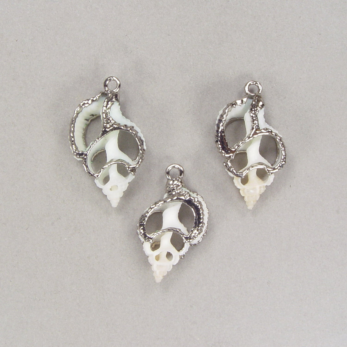 Limited-Time Special: Small Sliced Seashells in Hypo-Allergenic Nickel ...