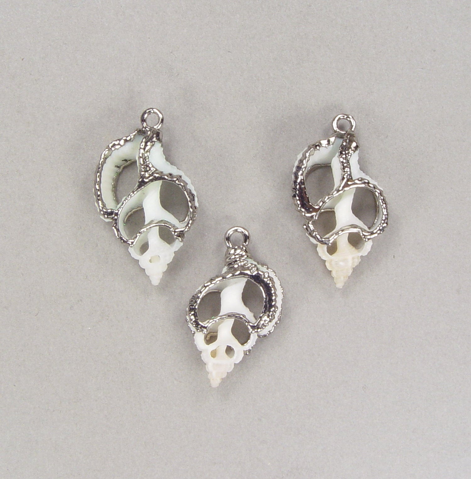 Limited-Time Special: Small Sliced Seashells in Hypo-Allergenic Nickel