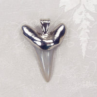 Fossil Mako Shark Tooth Pendant with Electroformed Nickel