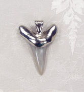 Fossil Mako Shark Tooth Pendant with Electroformed Nickel