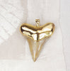 Fossil Angustiden Shark Tooth Pendant with Electroformed 18kt Gold